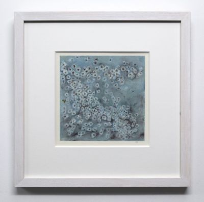 littoral community I by jane rushton