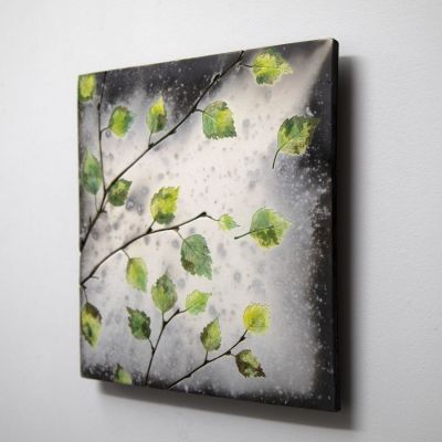 summer birch by helen michie