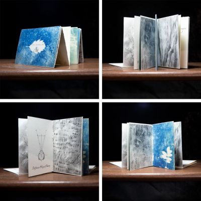 the eye in the window hole by anna bussot