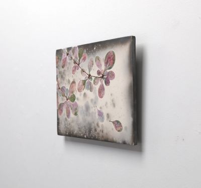 berberis pink III by Helen michie