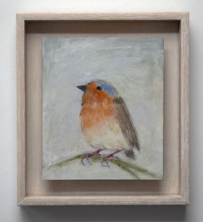 wee robin by joyce gunn cairns mbe