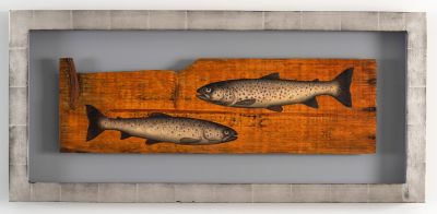  dividing line by donald provan