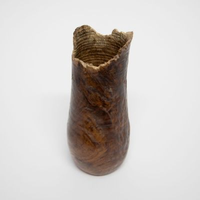 1926 oak burr, morvern by john hodgson