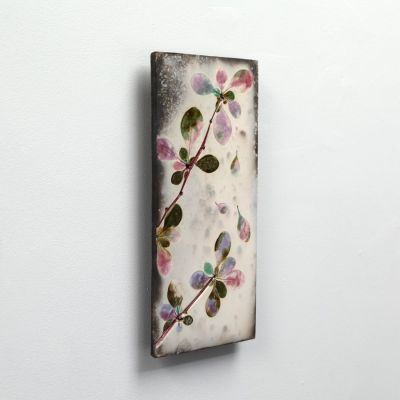 berberis by helen michie