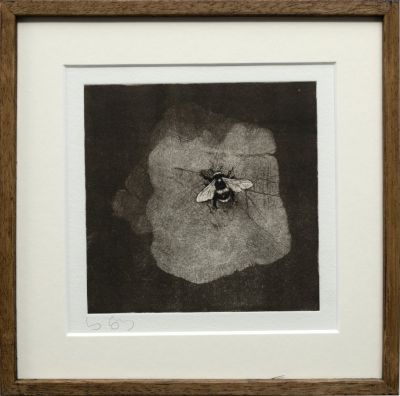 Bumblebee iii | Lucy Gray