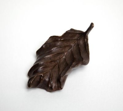 large beech leaf by siobhan morison