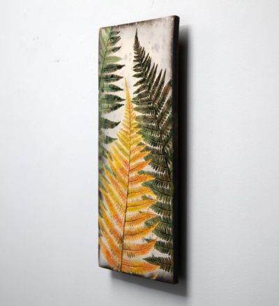 september ferns by helen michie