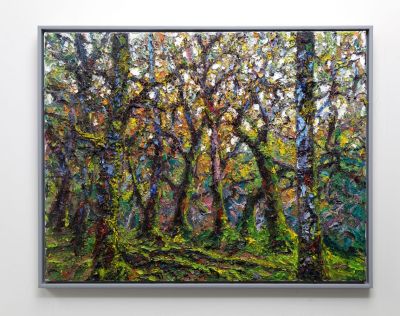 autumn amongst the oaks by jonathan shearer