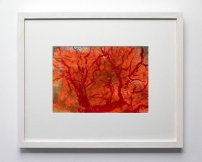 the trees turned red I by anna raven