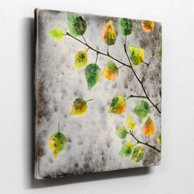 autumn colours II by helen michie