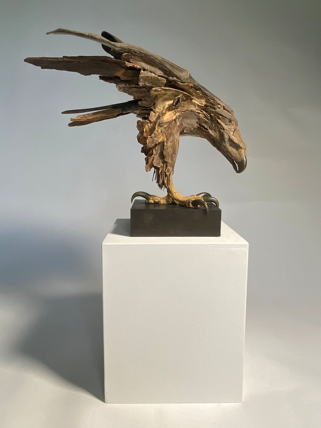 raptor by lucy gray