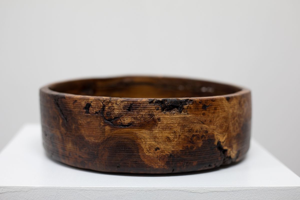 1896 Burr Oak from Acharn | John Hodgson