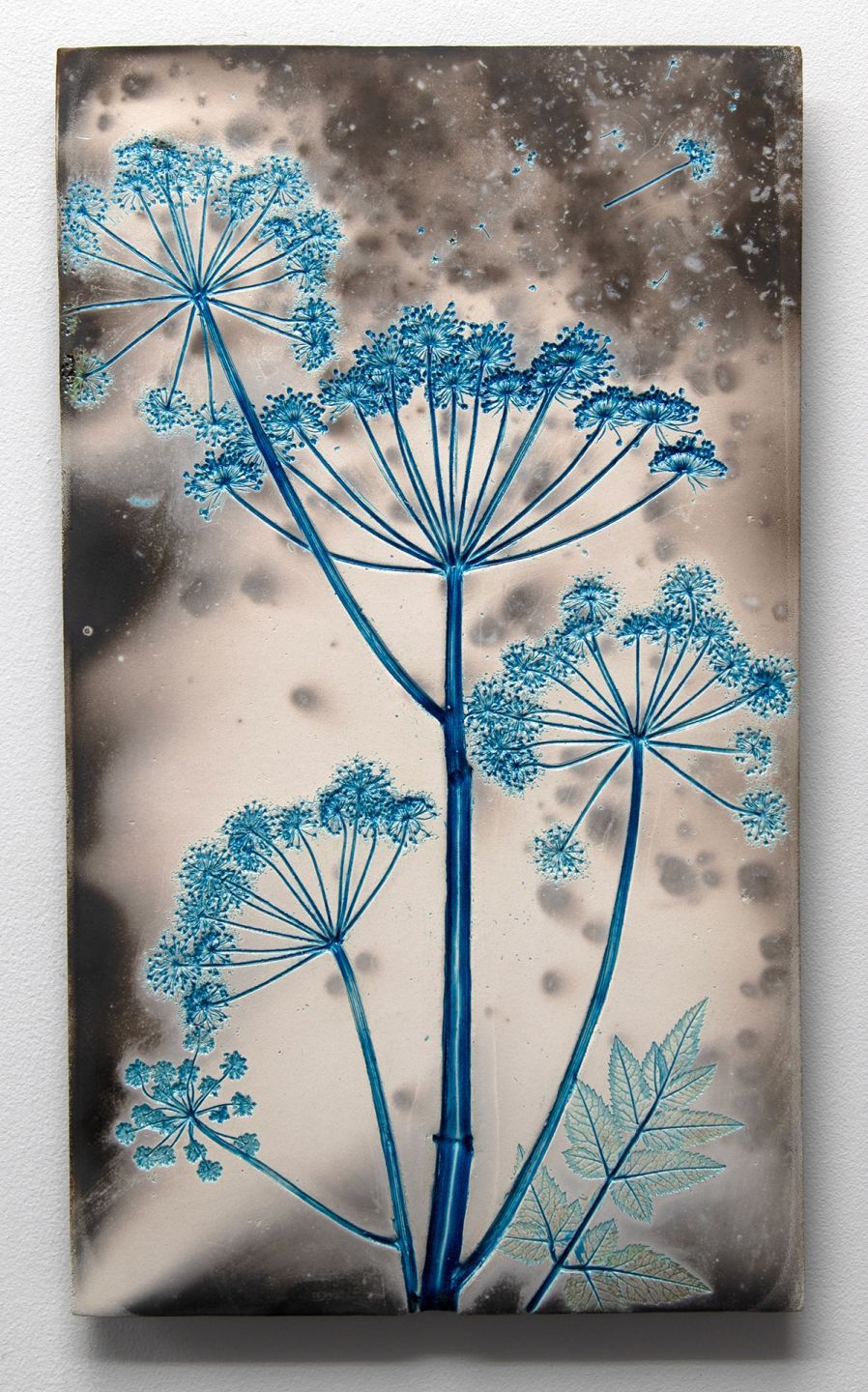 blue cow parsley by helen michie