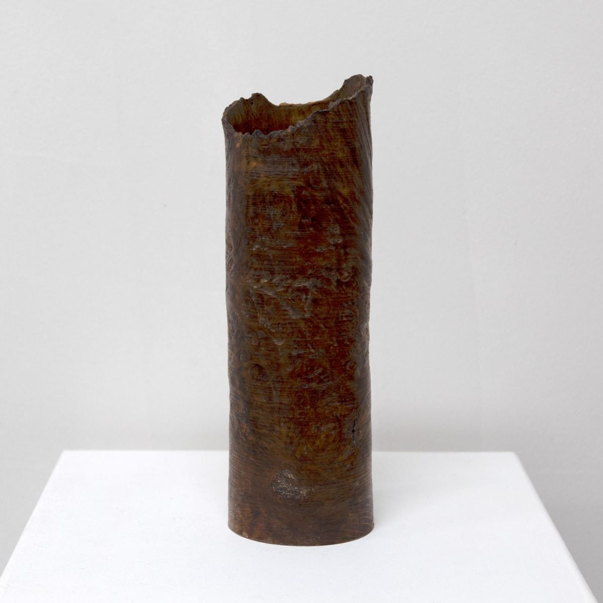 1917 oak burr by john hodgson