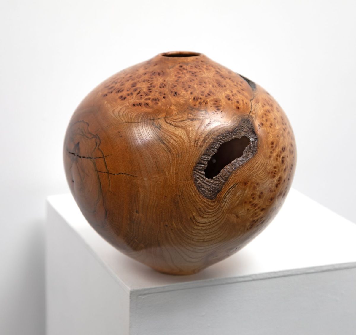 burr elm vessel i by angus clyne