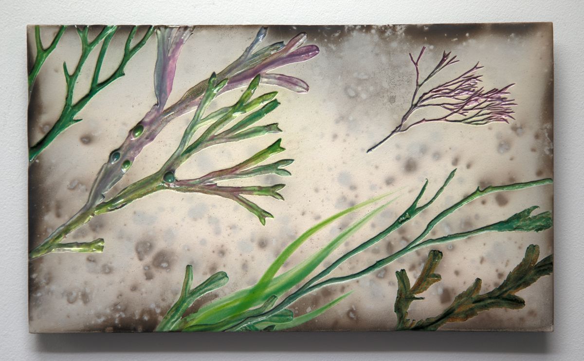 purple and green seaweed by helen michie
