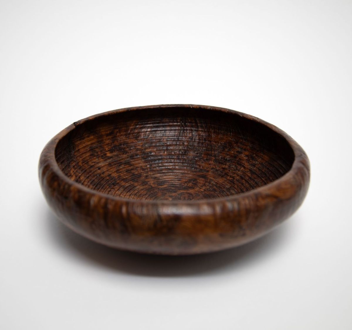 1925 oak burr, morvern by john hodgson